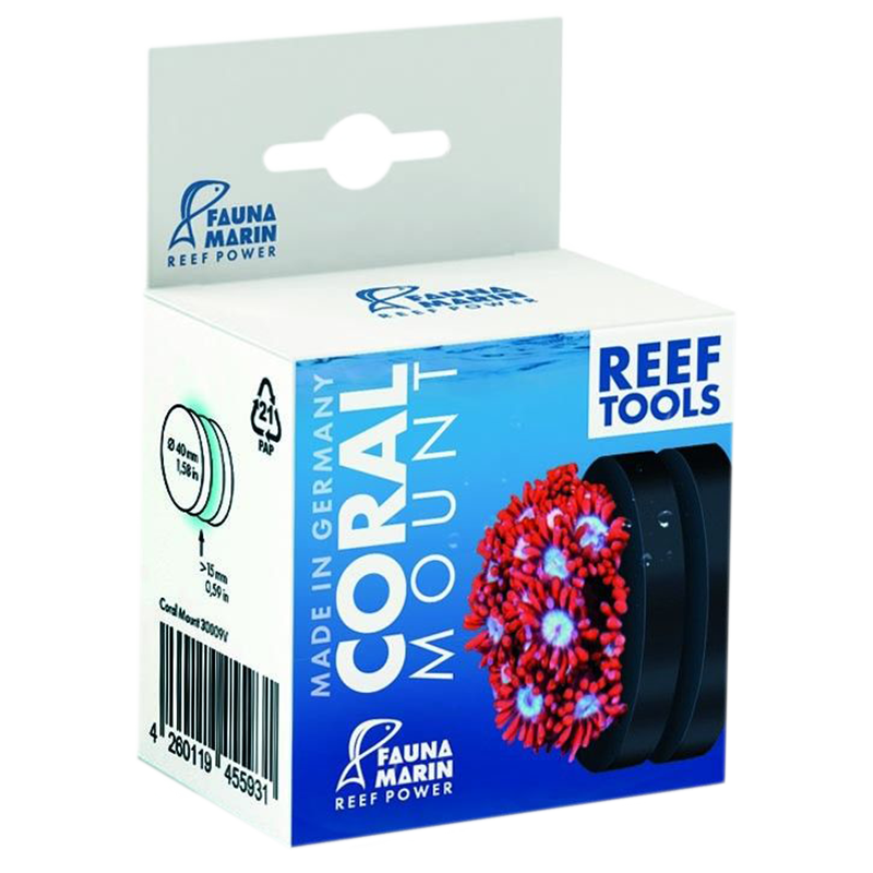 Fauna Marin Coral Mount