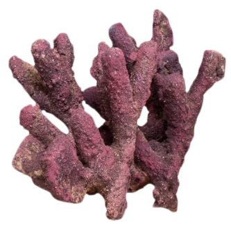 CaribSea LifeRock Ultimate Branch Clusters - 2 Pack