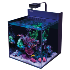 Red Sea Max Nano XL G2 Aquarium with ReefLED60