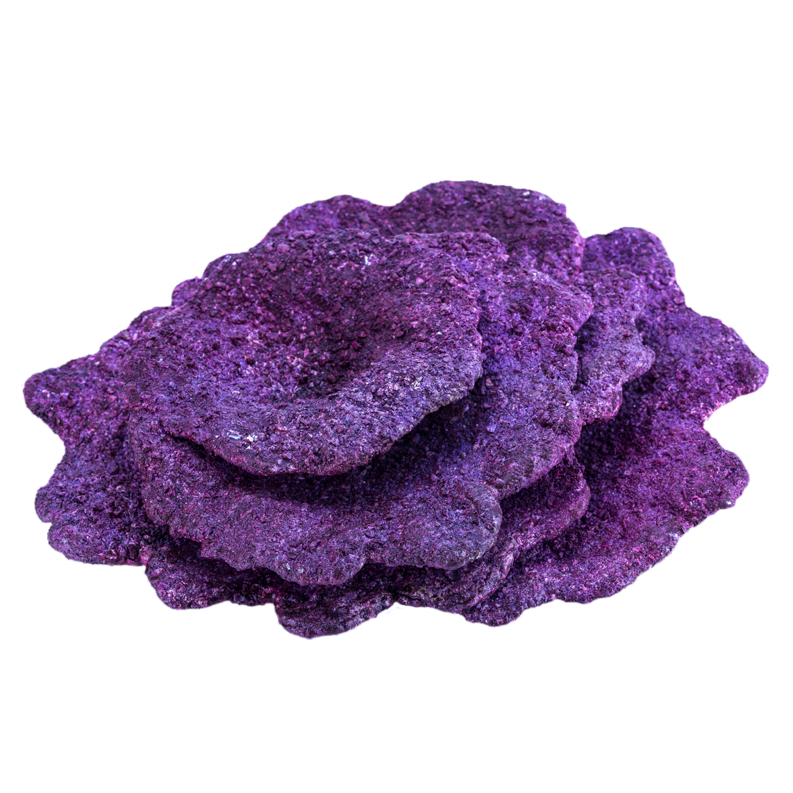Real Reef Rock - Mini Plate Corals Per Piece – Candy Corals