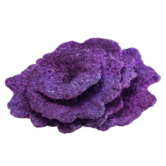 Real Reef Rock - Mini Plate Corals Per Piece