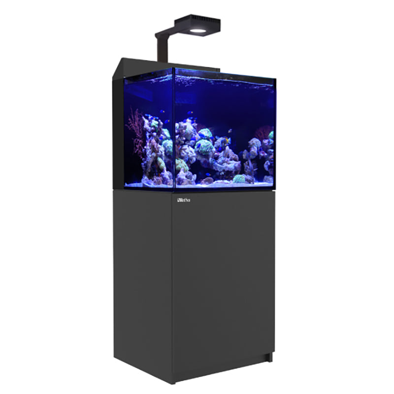 Red Sea Max E-170 ReefLED Reef System - Black – Candy Corals