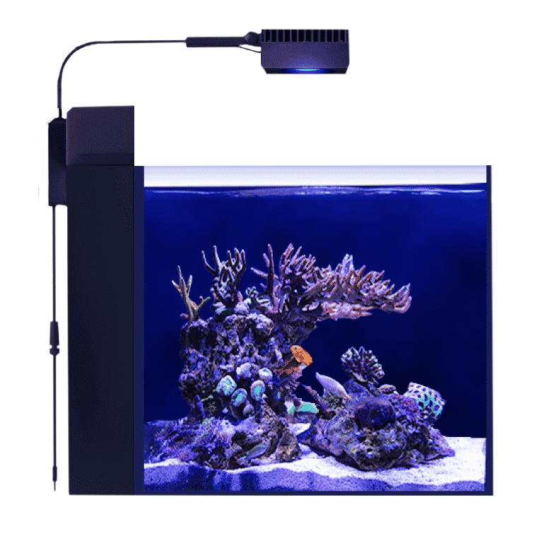 Red Sea Max Nano G2 Peninsula with ReefLED50 – Candy Corals