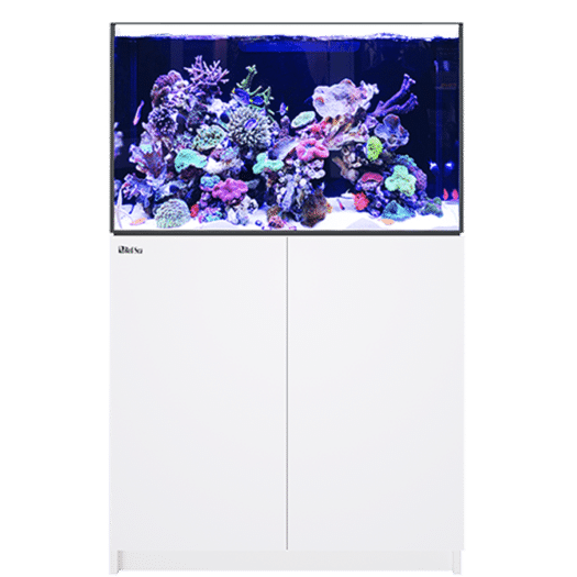 Glass Aquarium, fish tank - MB Store UK / from 12 litre to 300 litre