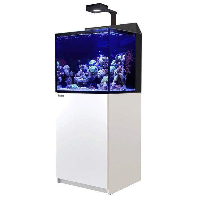 Red Sea Max E-170 ReefLED Reef System - White – Candy Corals