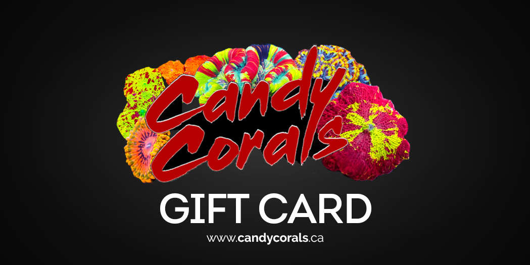 Candy Corals Gift Card