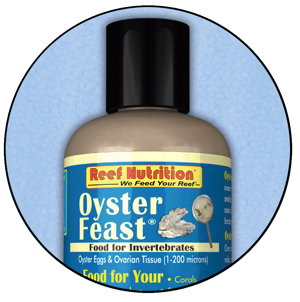 Reef Nutrition Oyster Feast – Candy Corals
