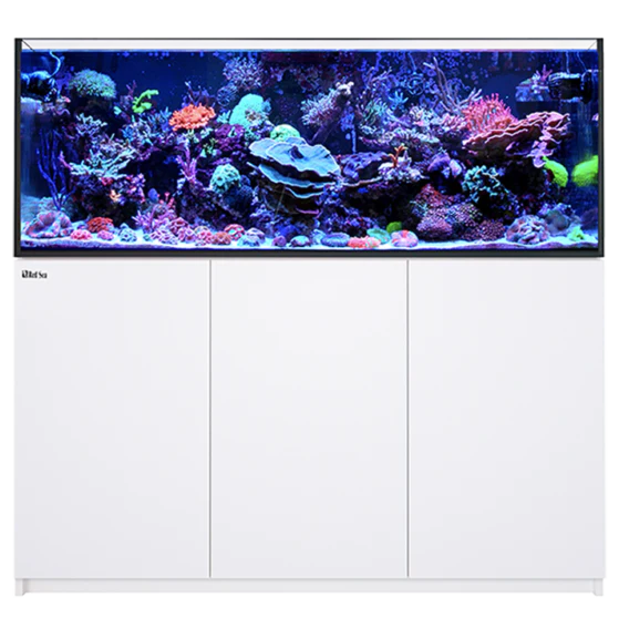 Aquariums