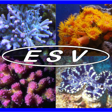 ESV