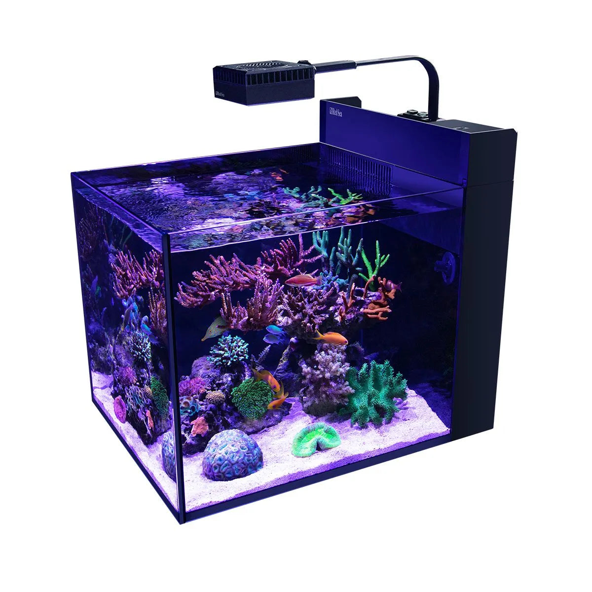 Red Sea Max Nano G2 Peninsula with ReefLED60