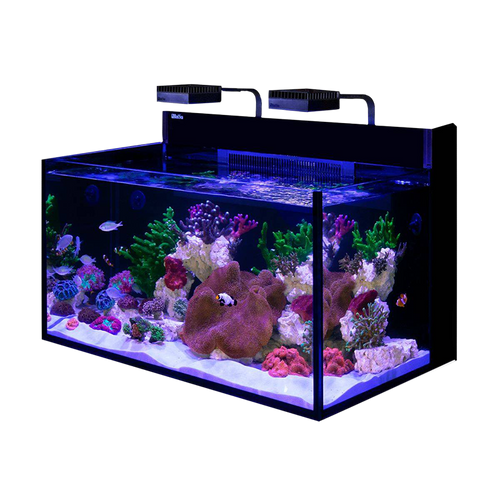 Red Sea Max Nano G2 XXL Aquarium (53 Gallon Display) – Candy Corals