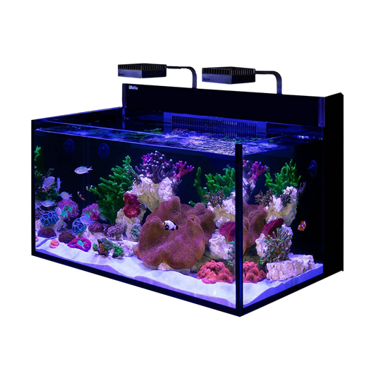 Red Sea Max Nano G2 XXL Aquarium (53 Gallons)