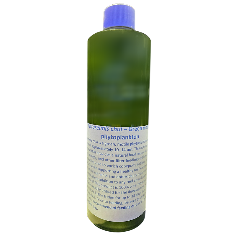 Cultured by Science Live Green Motile Tetraselmis Phytoplankton
