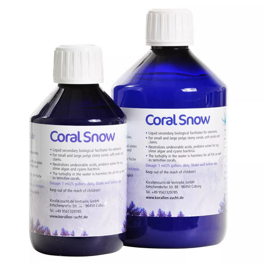 Korallen-Zucht Coral Snow