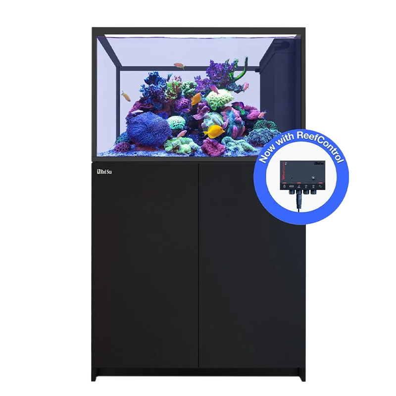 Red Sea REEFER Peninsula 350 G3+ Aquarium (73 Gallon Display)