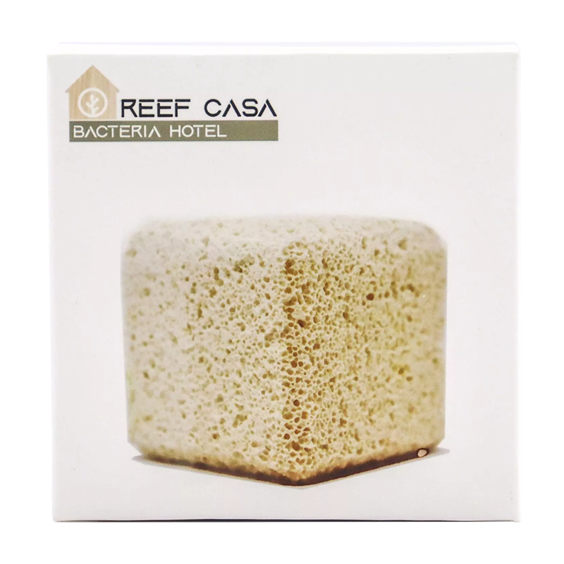 Reef Casa Bacteria Hotel