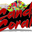 Corals Fishes For Sale At Candy Corals logo