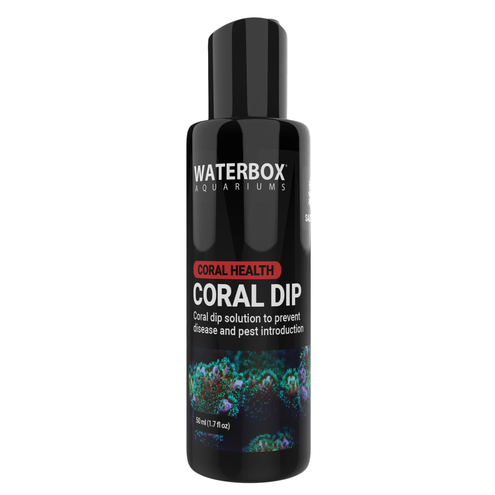 Waterbox Coral Dip