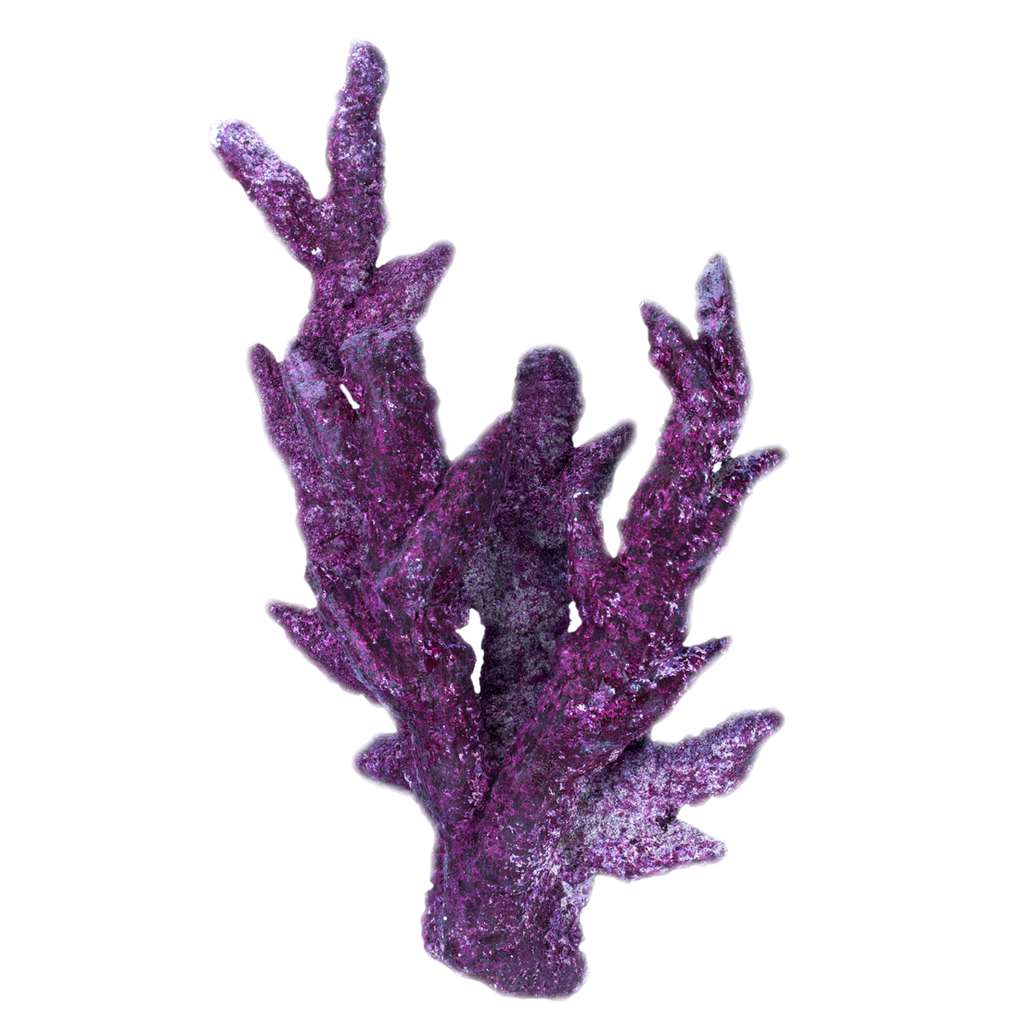 Real Reef Rock - Fancy Branch 30lb Box