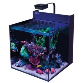 Red Sea Max Nano XL G2 Aquarium with ReefLED50