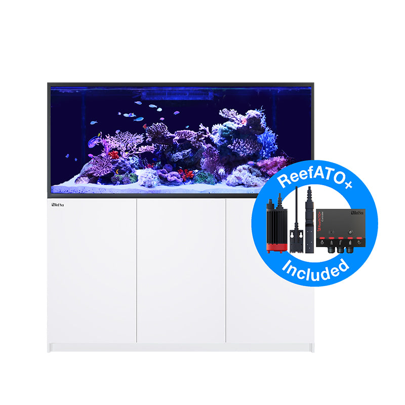 Red Sea REEFER-S 700 G2+ Aquarium – Candy Corals