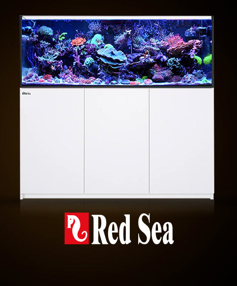 Red sea shop tank for sale