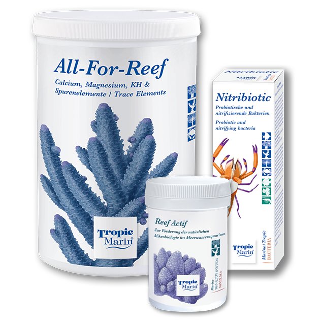 Tropic Marin Basic Care Bundle
