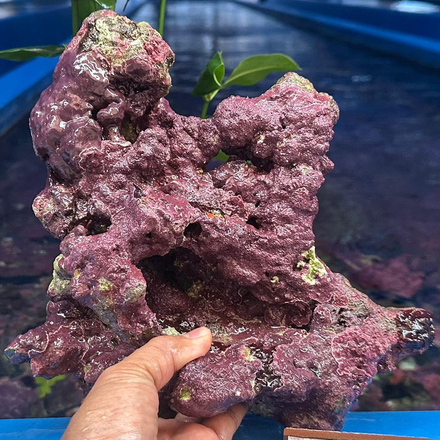 Live Rock Per Pound