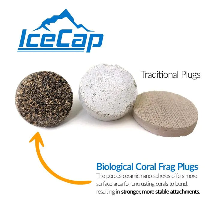 IceCap 3/4in Biological Frag Plugs with Mounting Divot, 25pcs