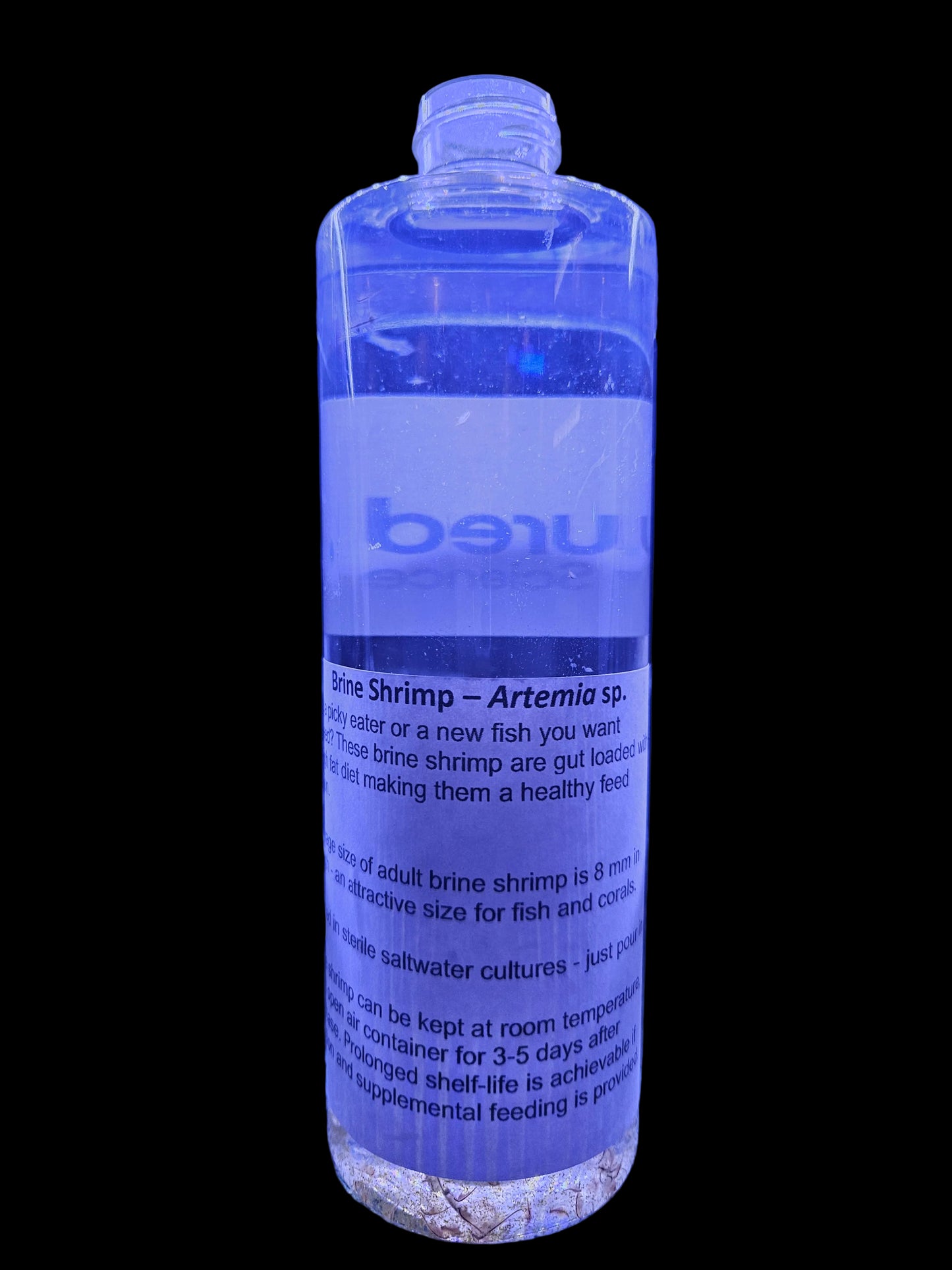 Cultured by Science Live Brine Shrimp