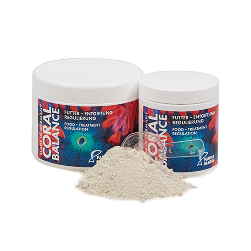 Fauna Marin Coral Balance Coral Food