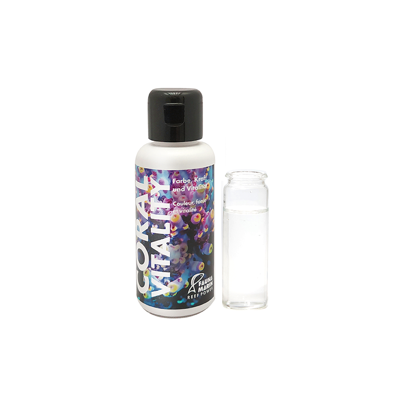 Fauna Marin Coral Vitality Coral Food