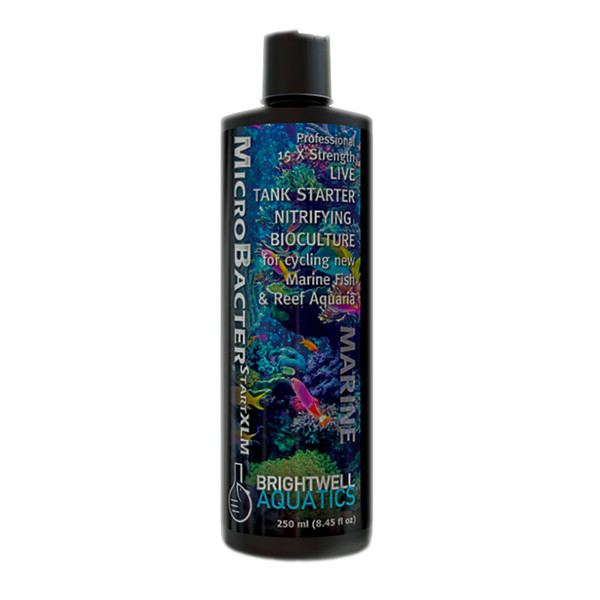 Brightwell Aquatics Microbacter Start XLM – Candy Corals