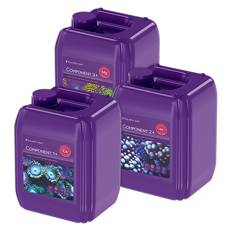 Aquaforest Component 1+2+3+