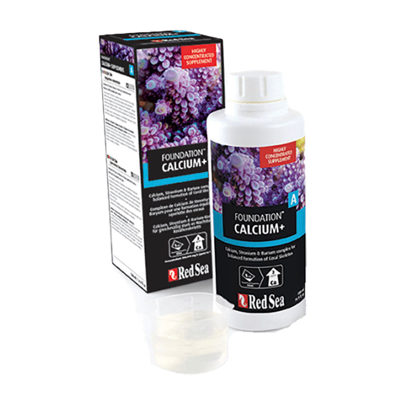Red Sea Foundation A CALCIUM+