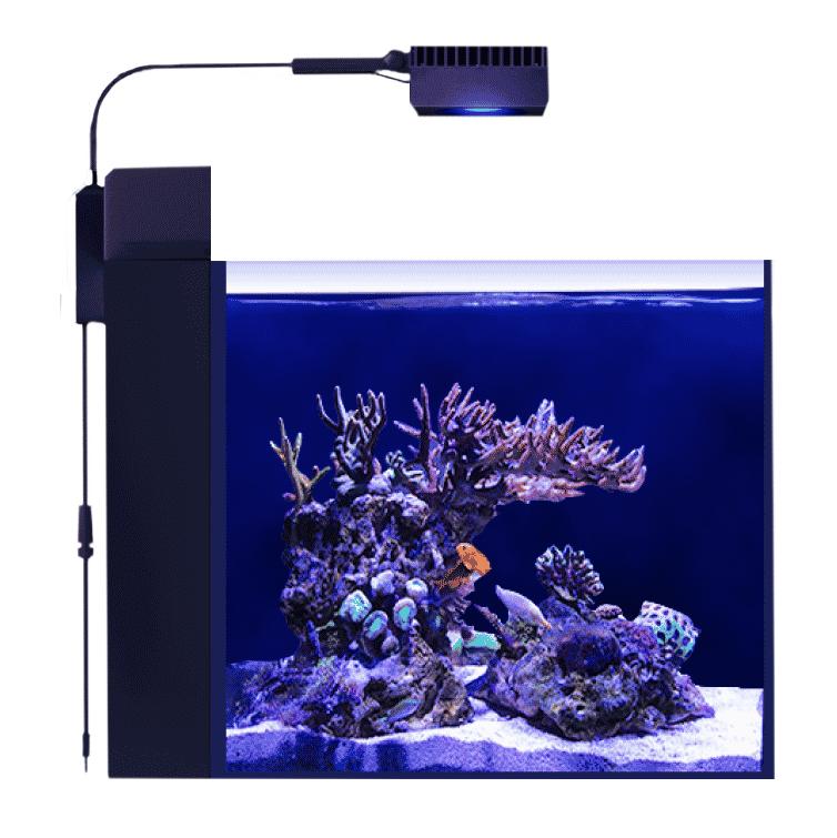 Red Sea Max Nano G1 Peninsula with ReefLED50
