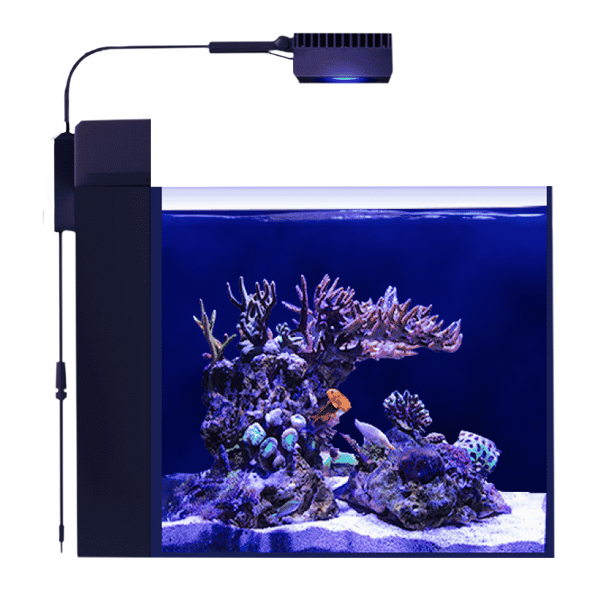 Red Sea Max Nano G2 Peninsula with ReefLED50 – Candy Corals