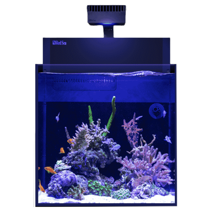 Red Sea Max Nano Cube G2 Aquarium with ReefLED60 – Candy Corals