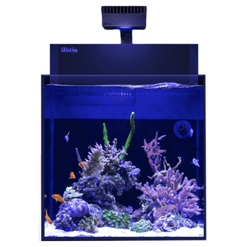 Red Sea Max Nano Cube G2 Aquarium with ReefLED60 – Candy Corals