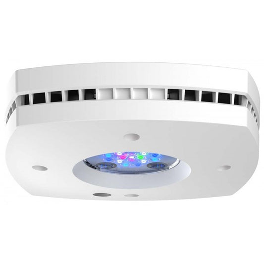 AquaIllumination AI Prime 16HD LED Light Fixture - White