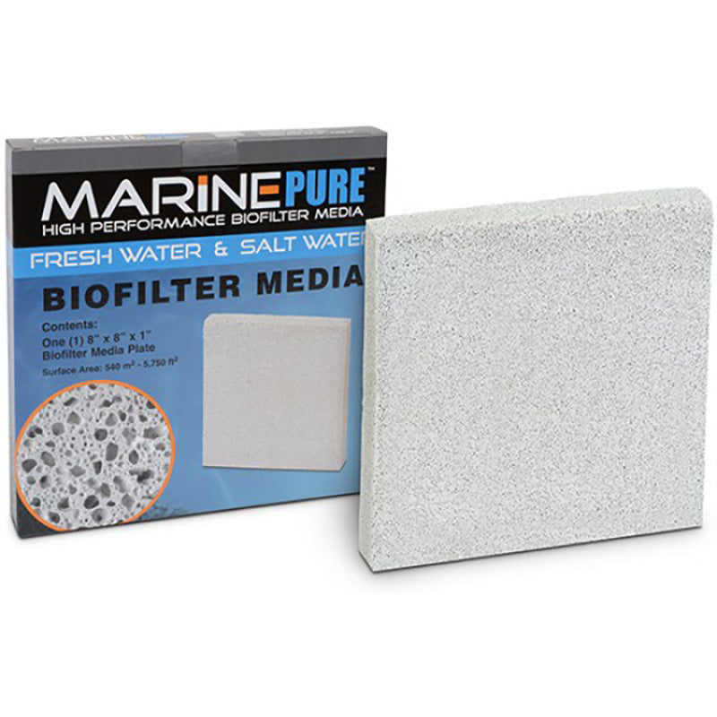 MarinePure Media Plate 8"x8"x1"