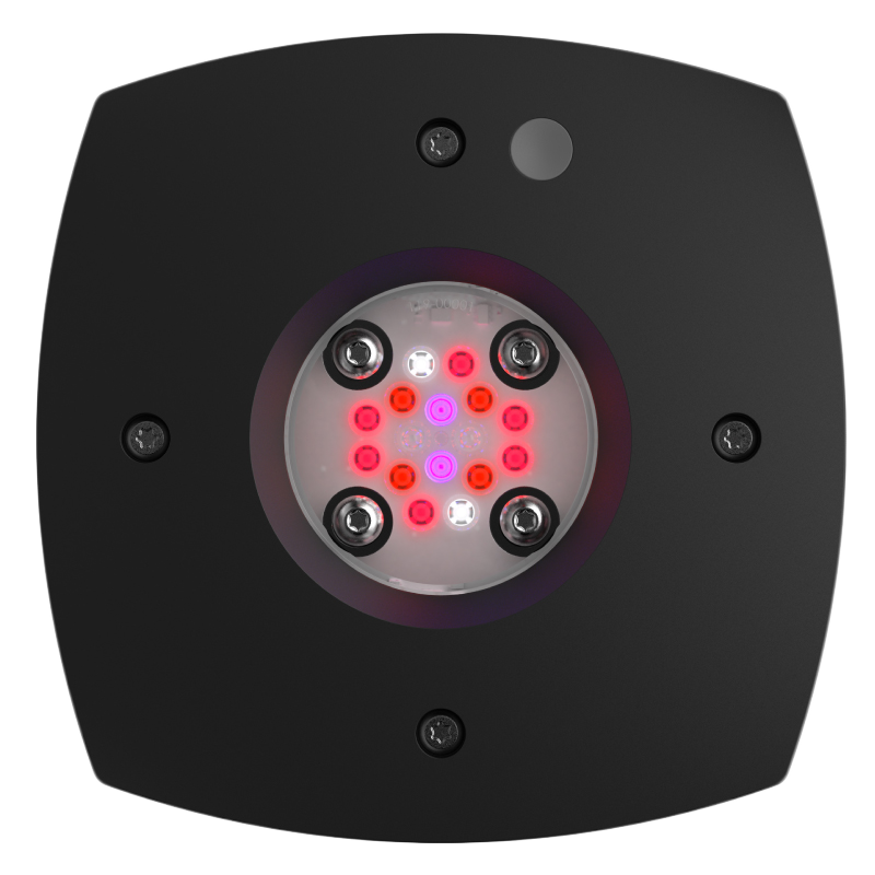 AquaIllumination AI Prime Fuge Light Fixture