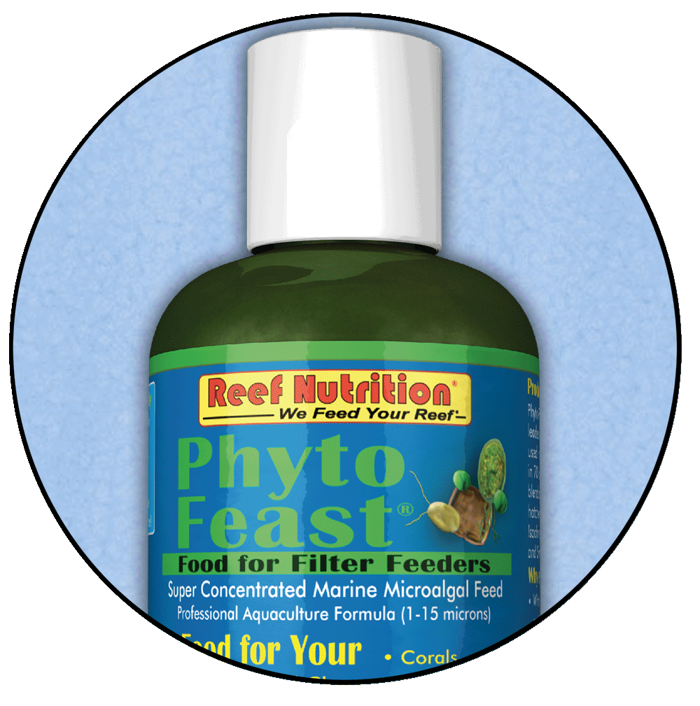 Reef Nutrition Phyto-Feast 6oz