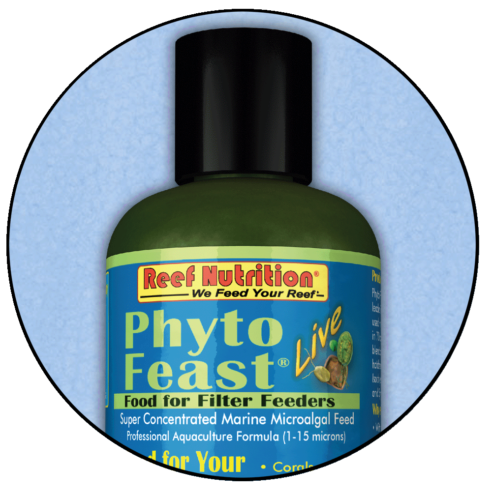Reef Nutrition Phyto-Feast Live
