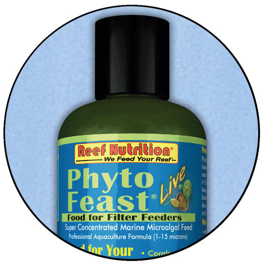 Reef Nutrition Phyto-Feast Live 6oz