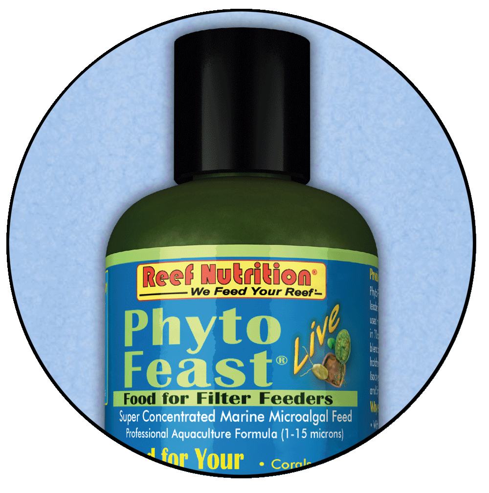 Reef Nutrition Phyto-Feast Live 6oz